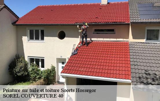 peinture-sur-tuile-et-toiture-sorel-tennesy-couvreur-40