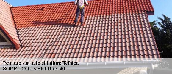 peinture-sur-tuile-et-toiture-sorel-tennesy-couvreur-40
