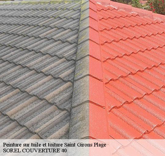 peinture-sur-tuile-et-toiture-sorel-tennesy-couvreur-40
