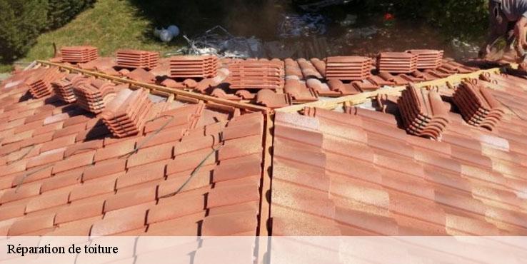 reparation-de-toiture-sorel-tennesy-couvreur-40