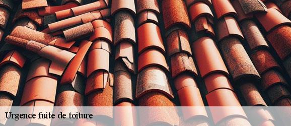 urgence-fuite-de-toiture-sorel-tennesy-couvreur-40