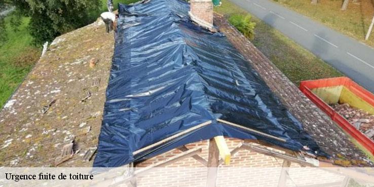 urgence-fuite-de-toiture-sorel-tennesy-couvreur-40