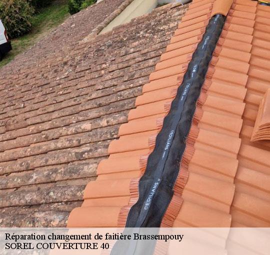 reparation-changement-de-faitiere-sorel-tennesy-couvreur-40