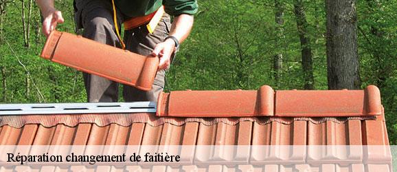 reparation-changement-de-faitiere-sorel-tennesy-couvreur-40