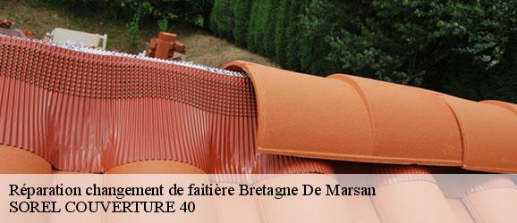 reparation-changement-de-faitiere-sorel-tennesy-couvreur-40