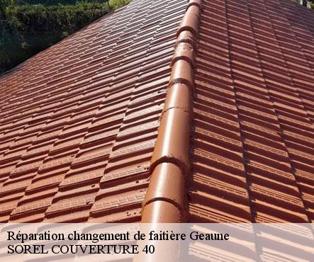 reparation-changement-de-faitiere-sorel-tennesy-couvreur-40