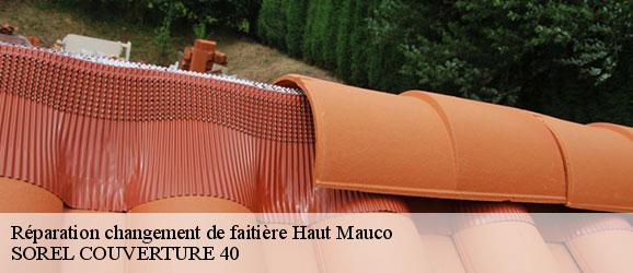 reparation-changement-de-faitiere-sorel-tennesy-couvreur-40
