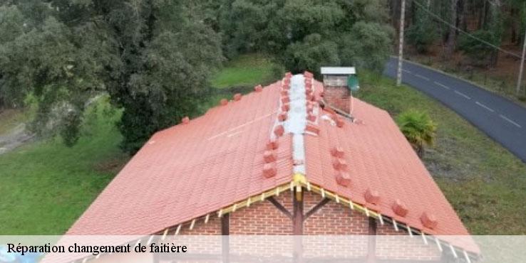 reparation-changement-de-faitiere-sorel-tennesy-couvreur-40