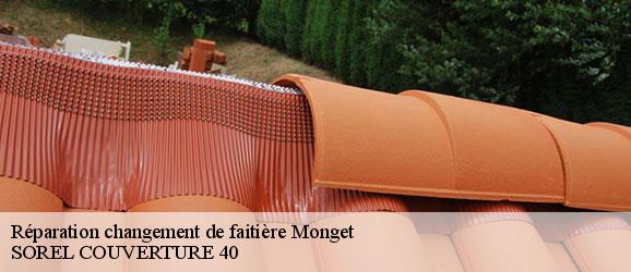 reparation-changement-de-faitiere-sorel-tennesy-couvreur-40