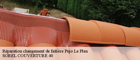 reparation-changement-de-faitiere-sorel-tennesy-couvreur-40
