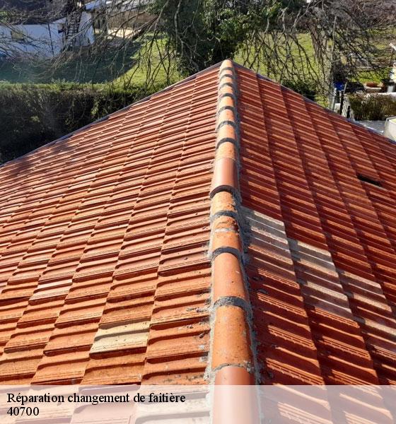 reparation-changement-de-faitiere-sorel-tennesy-couvreur-40