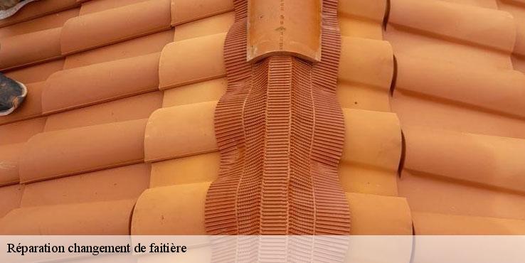 reparation-changement-de-faitiere-sorel-tennesy-couvreur-40