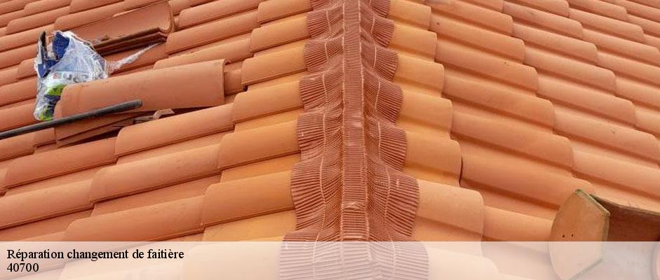 reparation-changement-de-faitiere-sorel-tennesy-couvreur-40